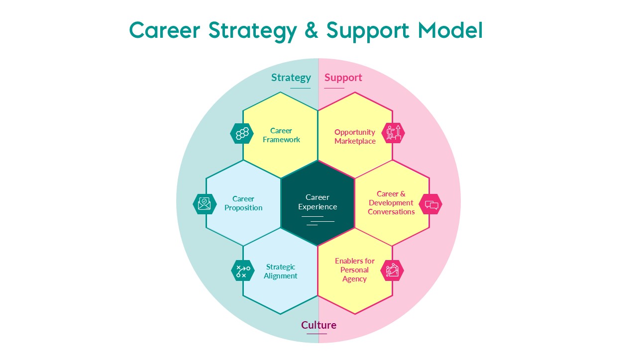 Career strategy model